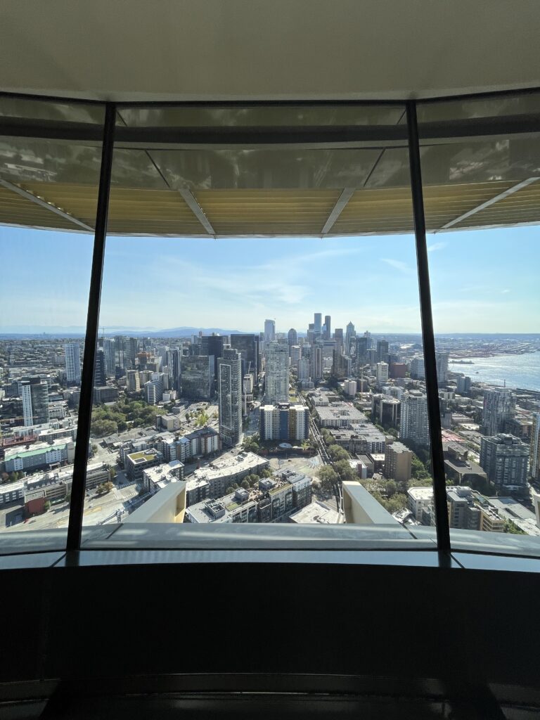 View from Space Needle