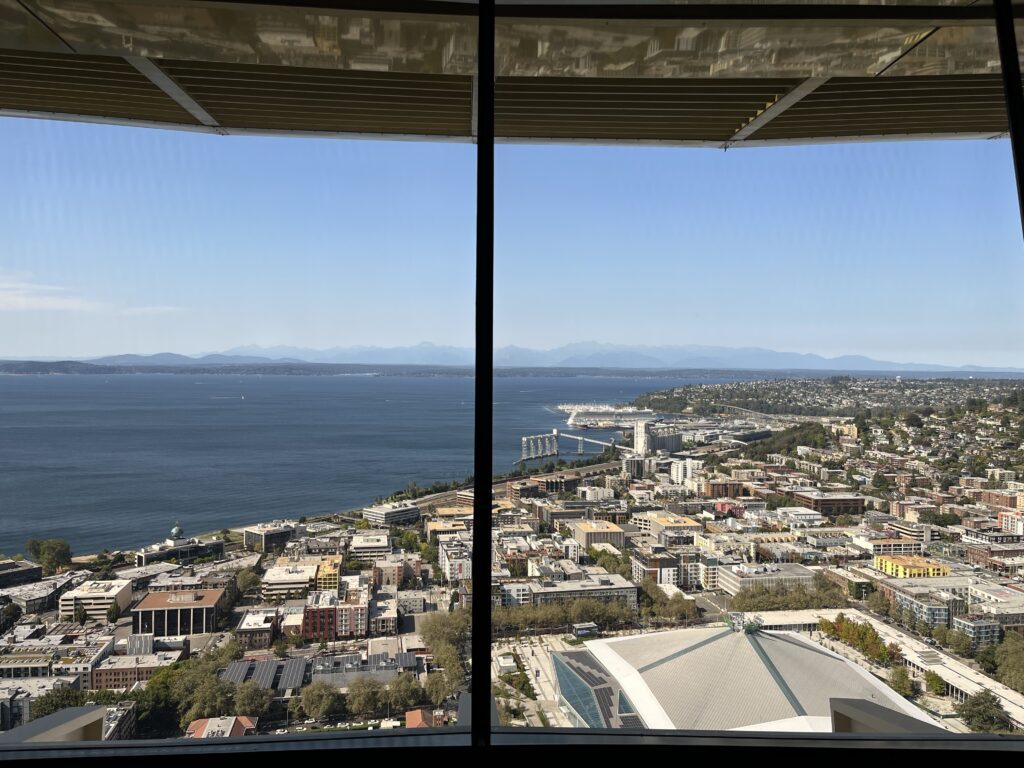 View from Space Needle