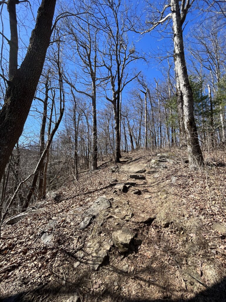 hiking ramrock trail
