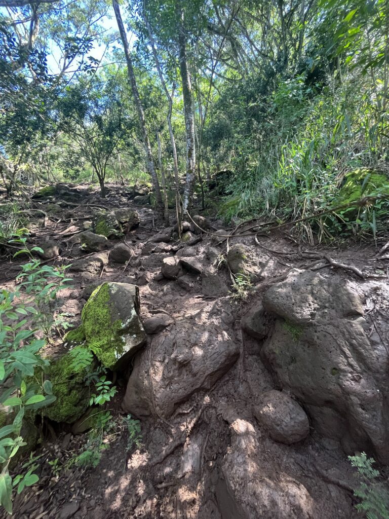 Oahu Hikes- Ehukai Pillbox Trail