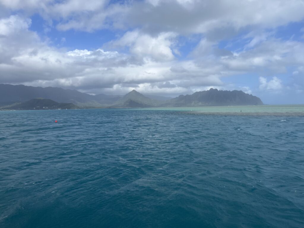 Snorkeling Cruise