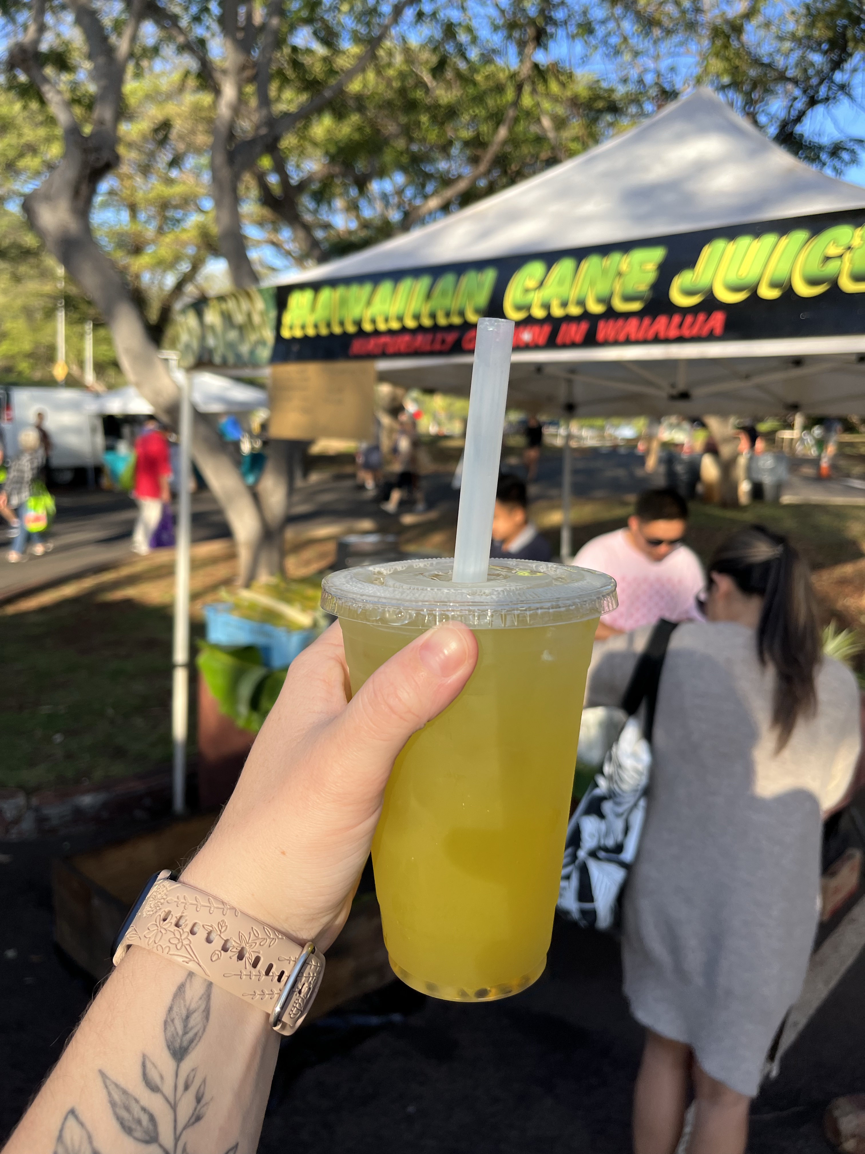 Oahu Itinerary 