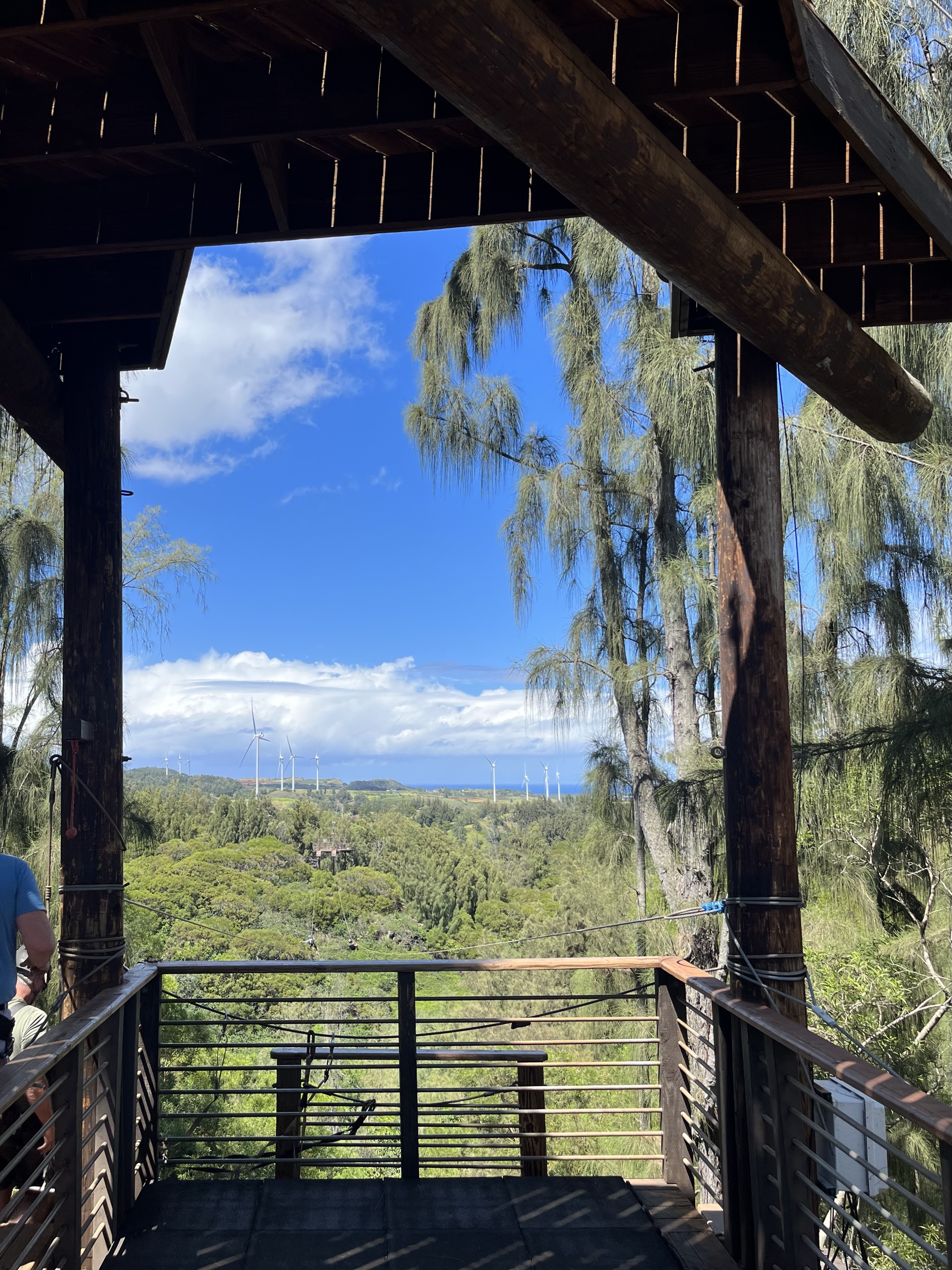 Zip Lines Oahu 