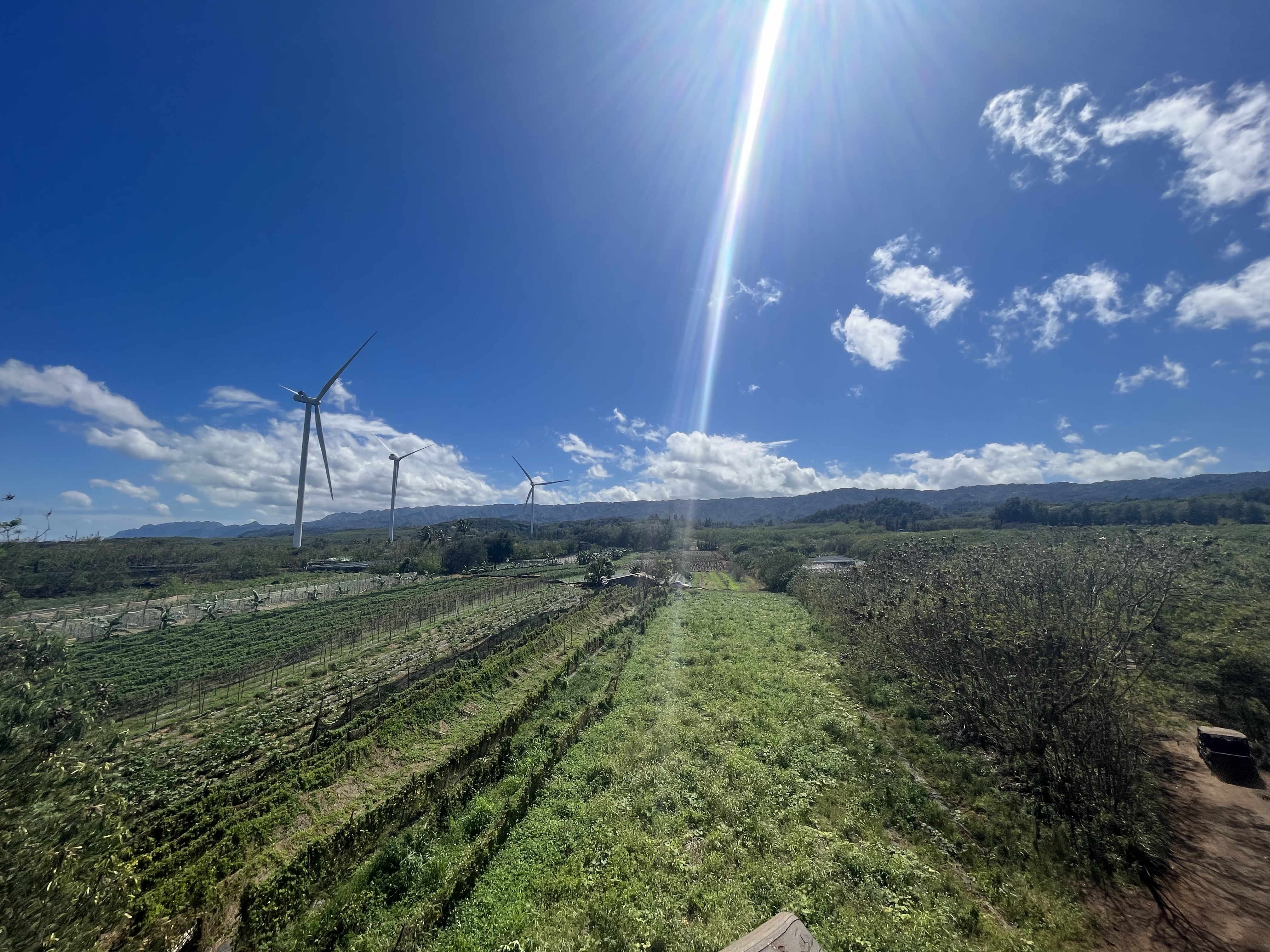 Oahu Itinerary