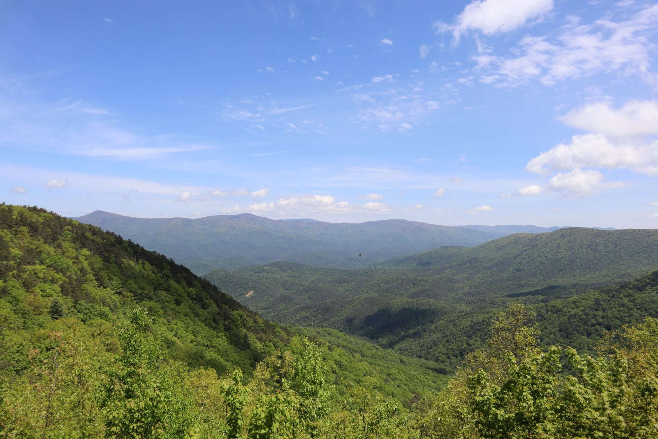 Fort Mountain State Park Trails