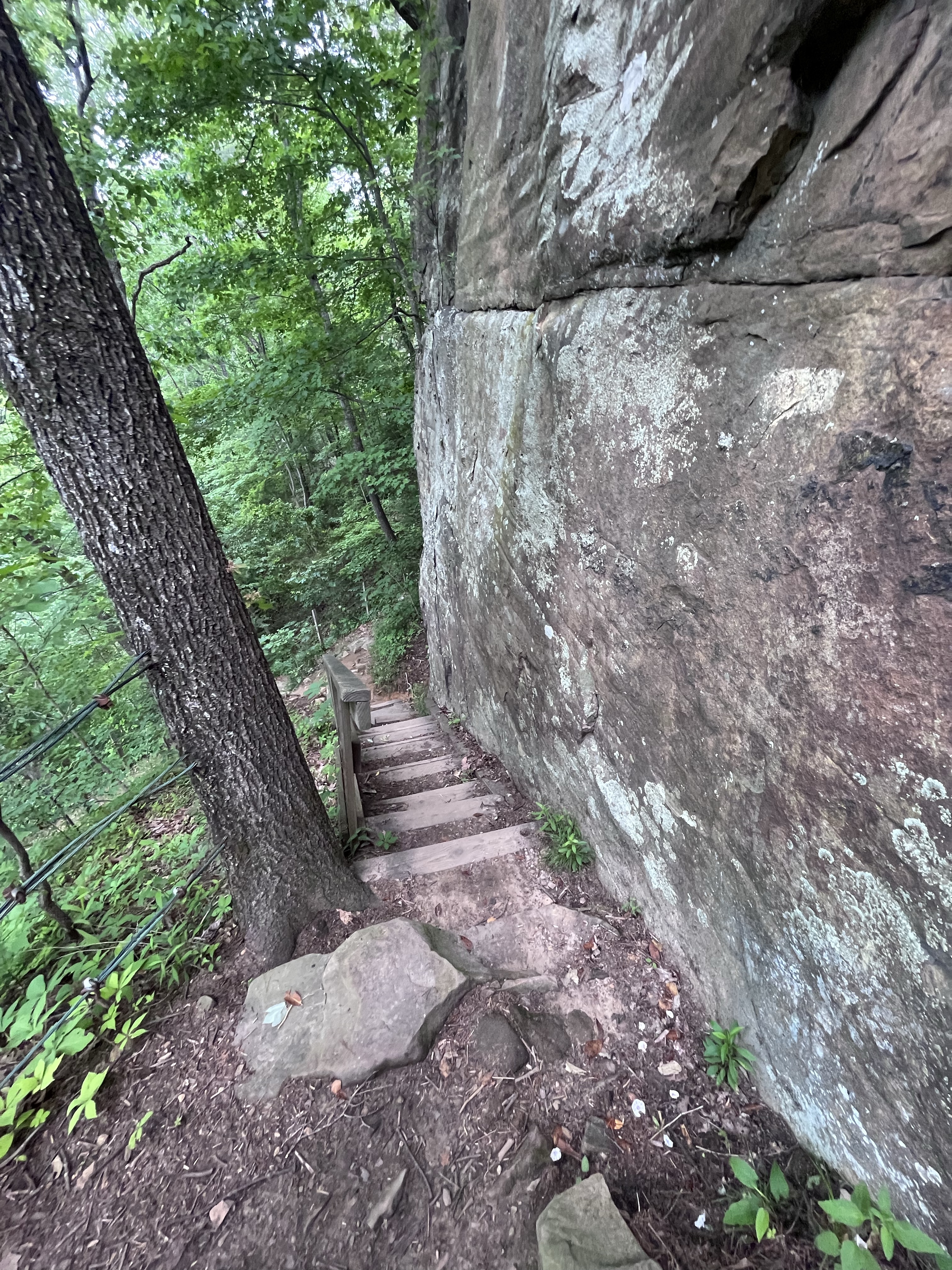 Julia Falls overlook trail