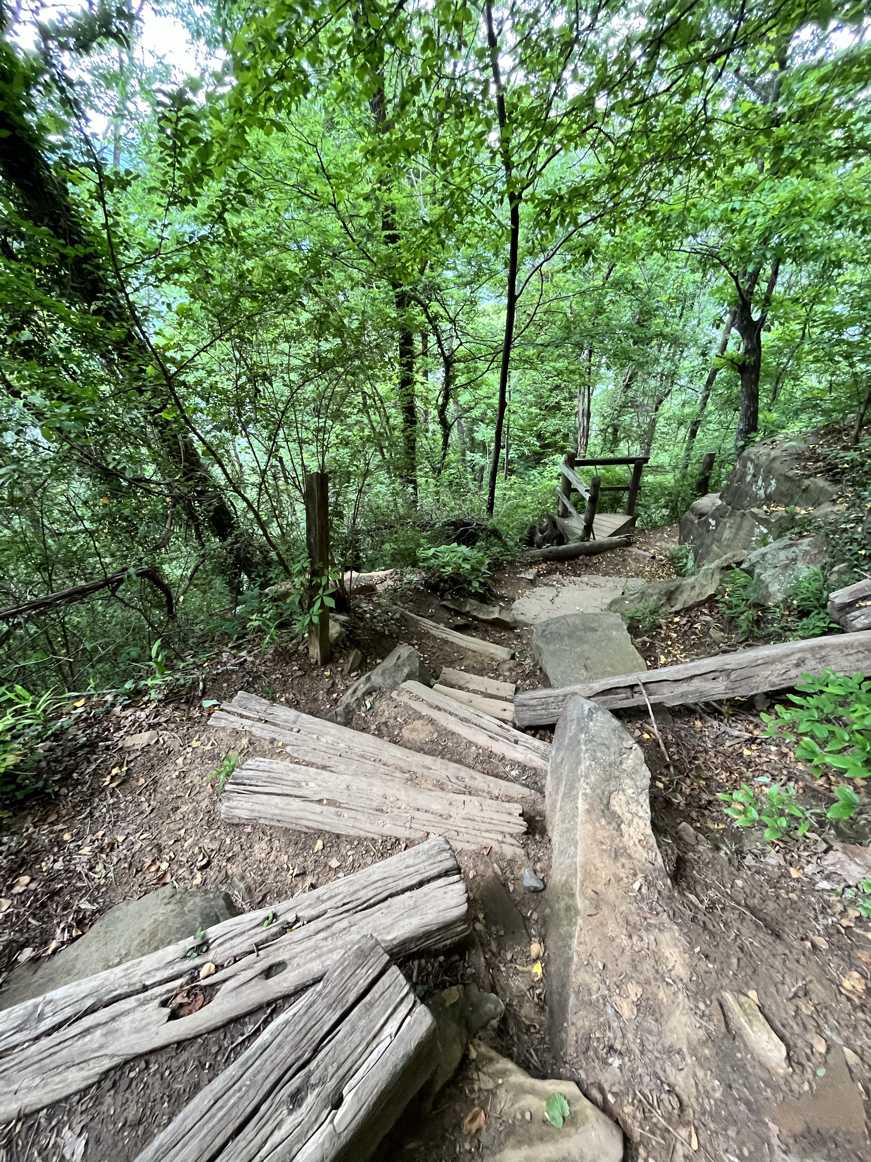 julia falls overlook trail