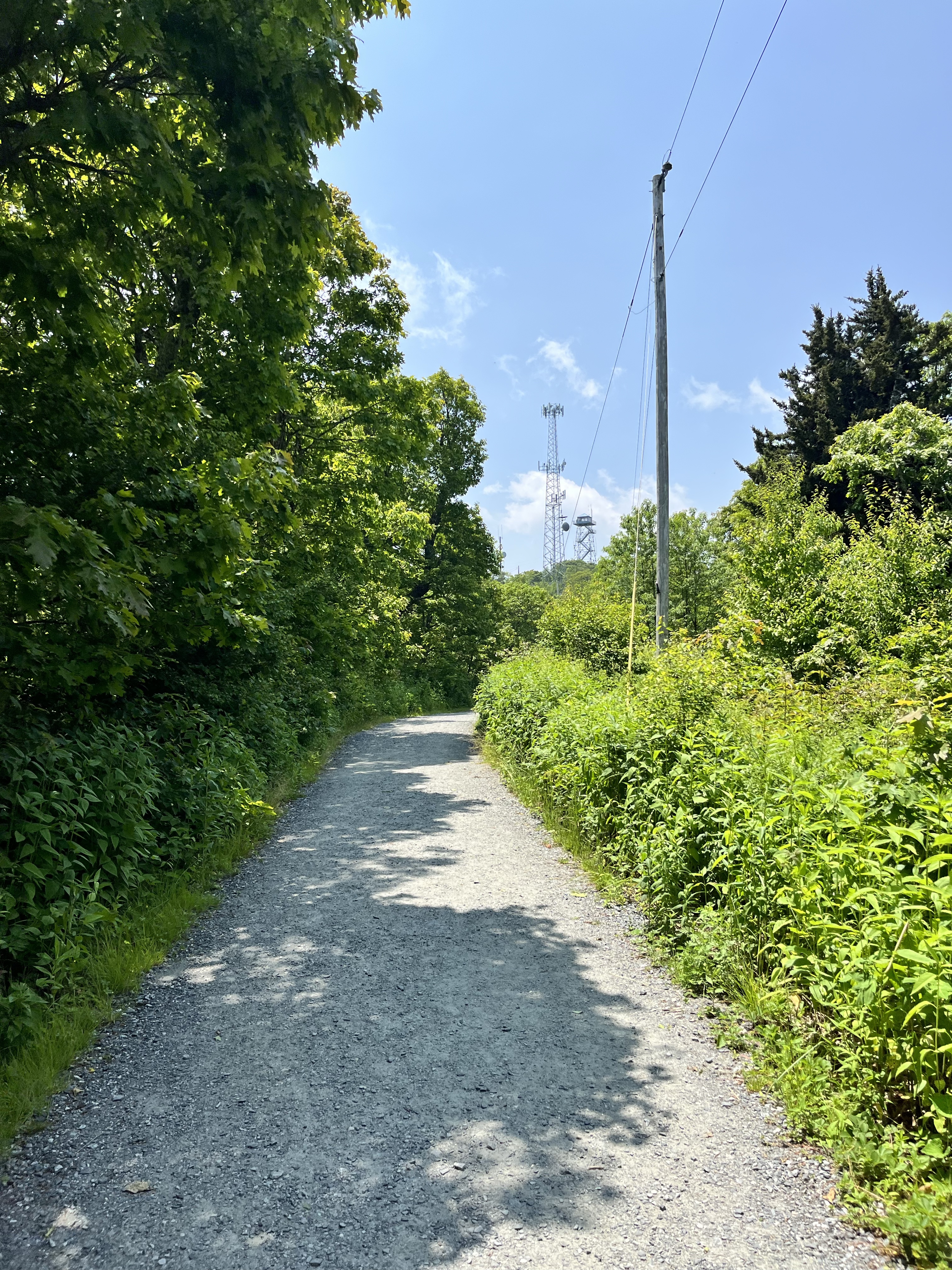 fryingpan mountain lookout tower trail 
