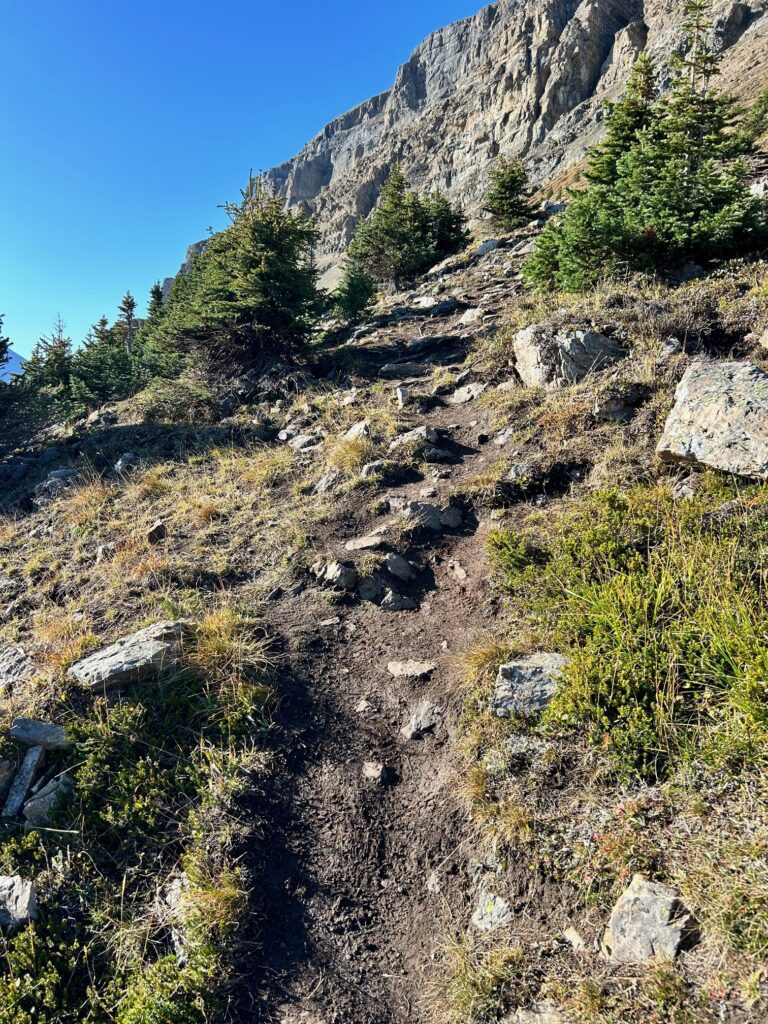 Bow summit trail 