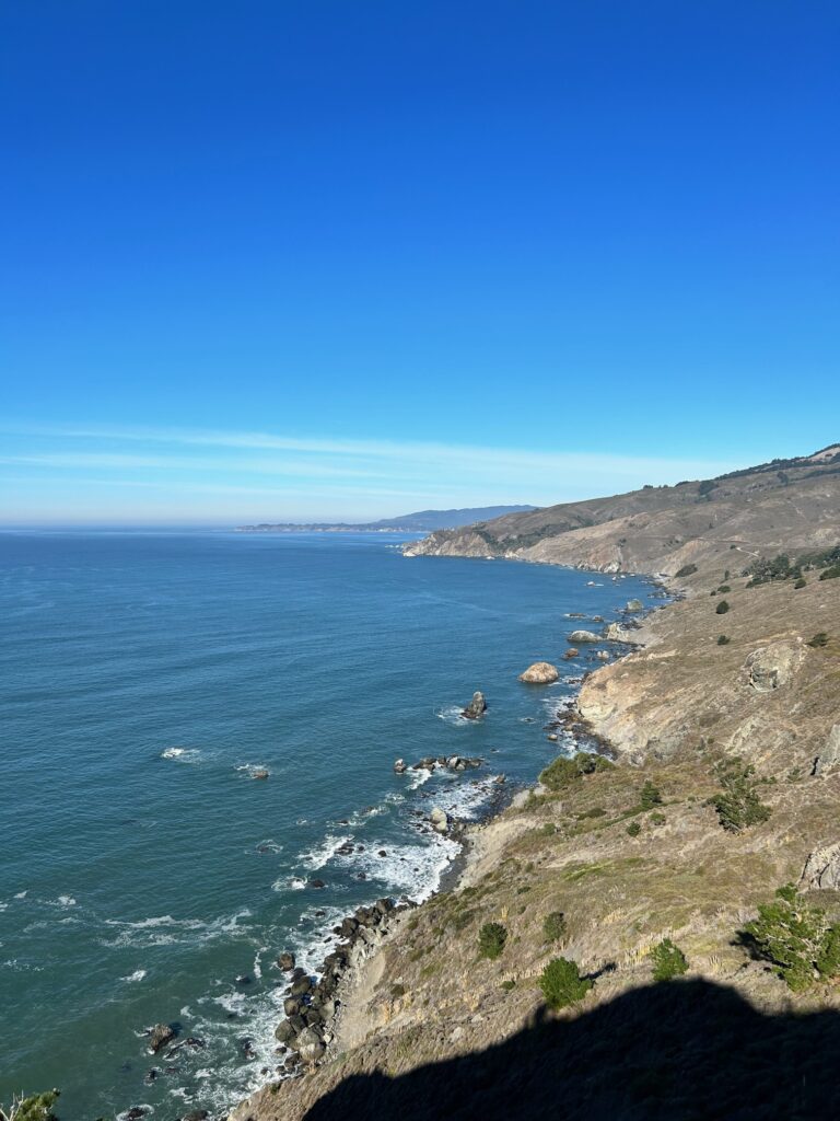 Muir woods day trip