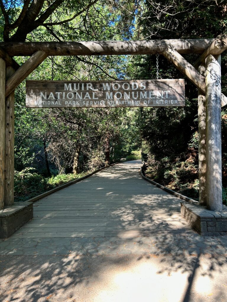Muir woods national monument