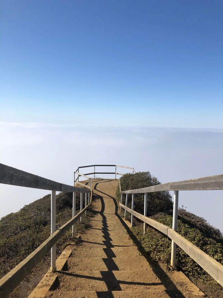 Muir beach area overlook cloudy