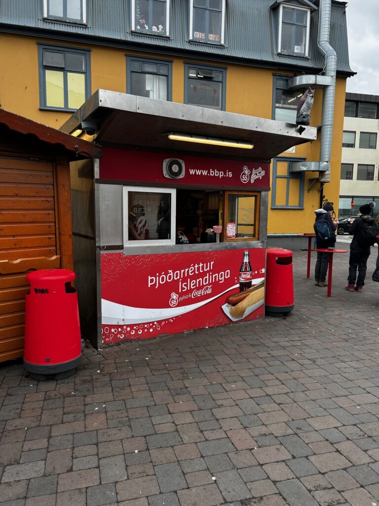 one day in reykjavik