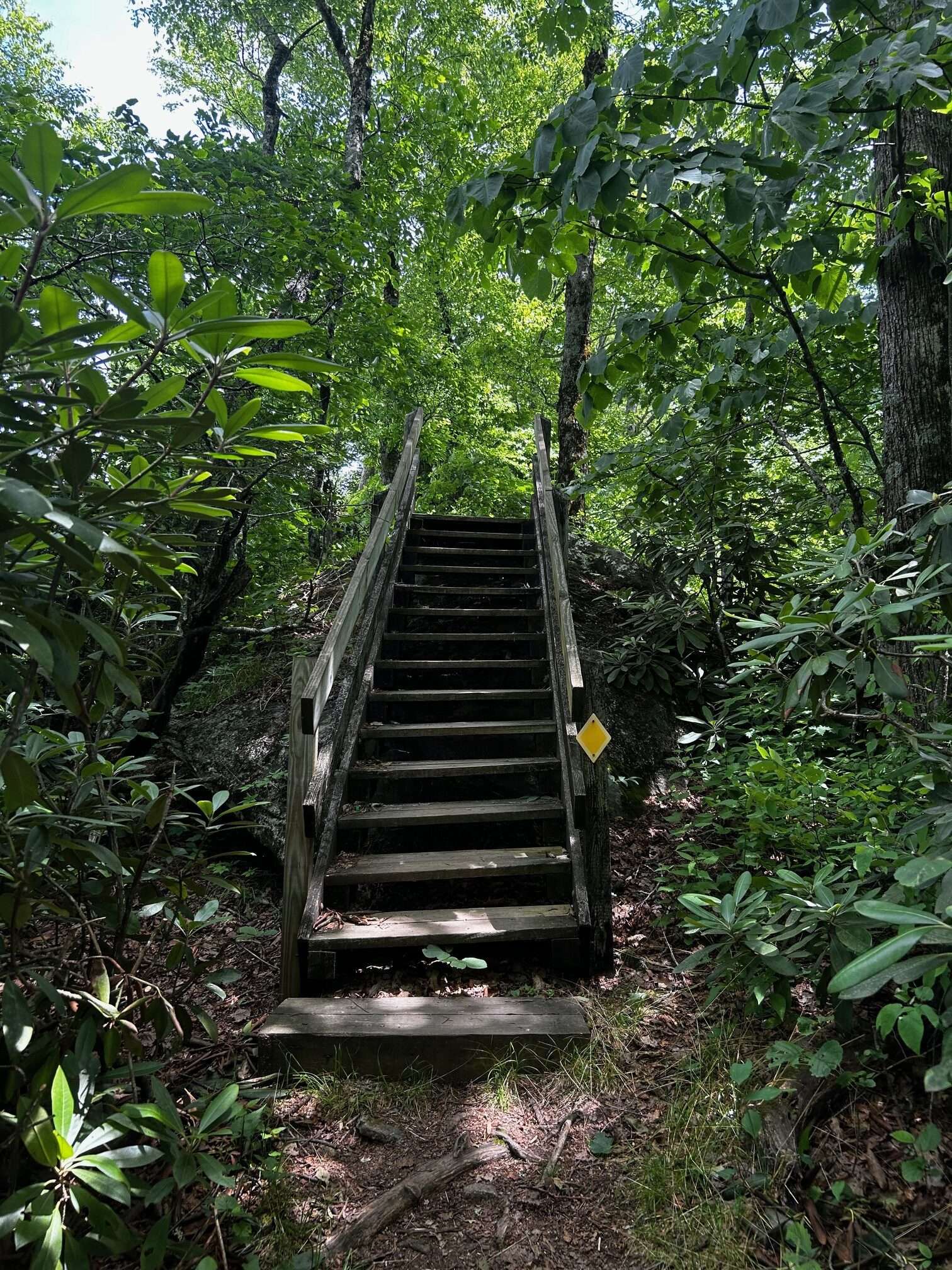 Tennessee Rock Trail